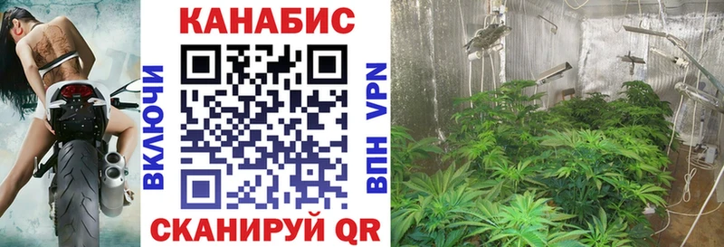 Наркота Новая Ладога Alpha PVP МАРИХУАНА МЕФ Гашиш