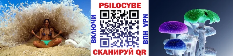 купить наркотик  Новая Ладога  Псилоцибиновые грибы ЛСД 